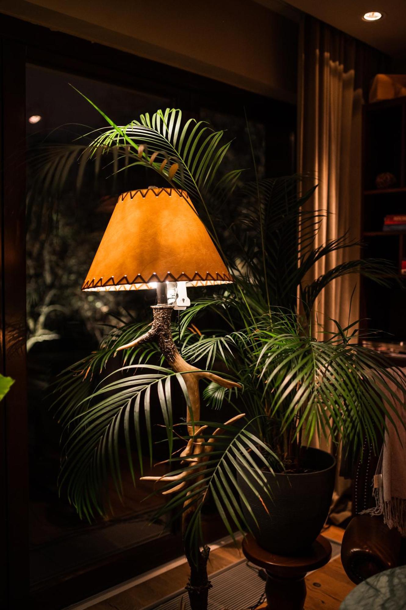 Le Petit Chalet - Artegianale Braşov Dış mekan fotoğraf